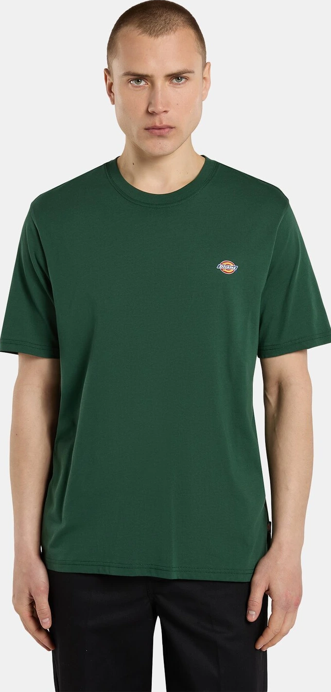 Dickies Mapleton t-shirt, pine needle Green, Green, S