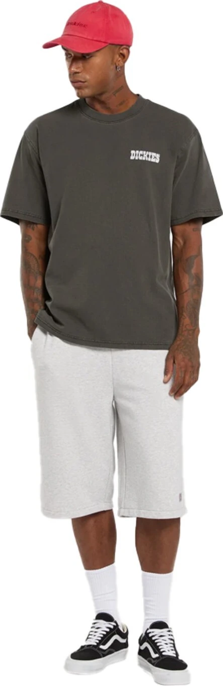 Dickies Buchtell t-shirt, Black, S