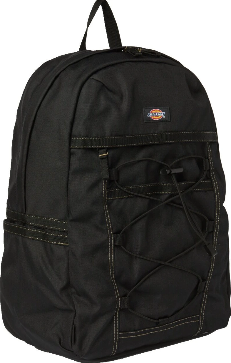 Dickies Ashville backpack, Black
