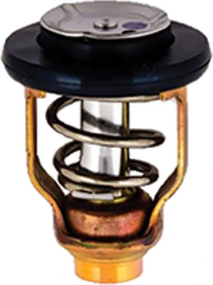EMP termostatas Yamaha F/LF 225-300 / VF200/250 (2006-)