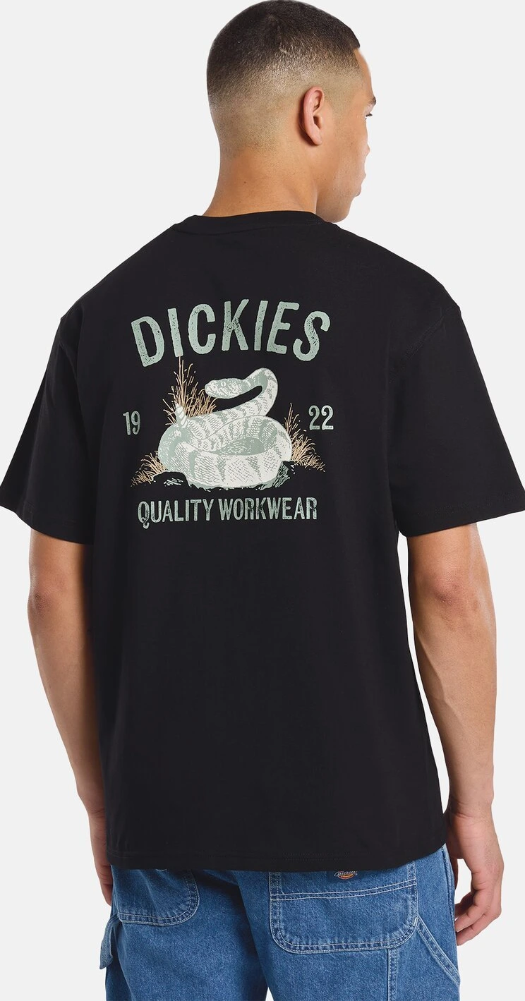 Dickies Snake t-shirt, Black, S