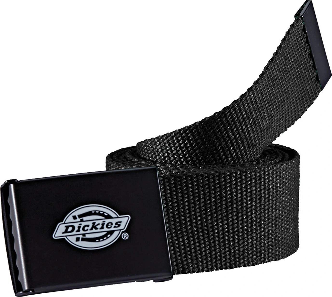 Dickies Orcutt belt, Black
