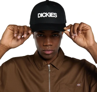 Dickies Torrey snapback cap