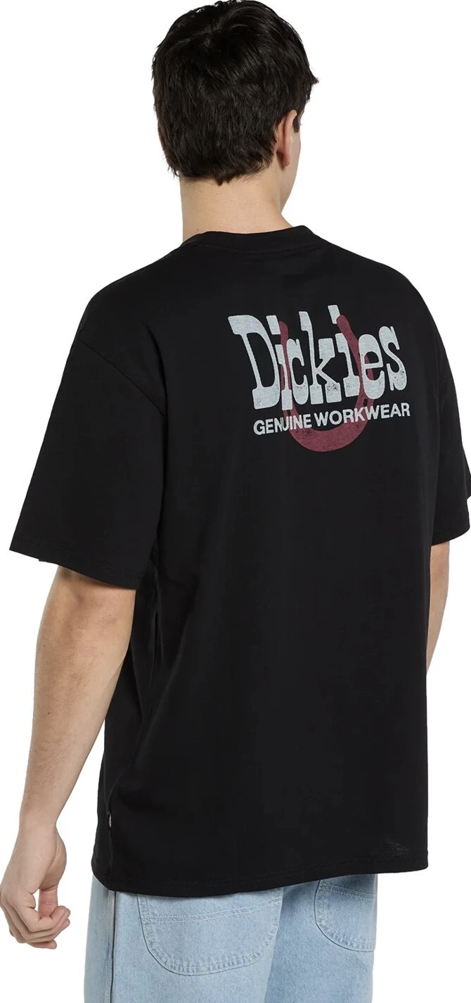 Dickies Vernal t-shirt, Black, 2XL