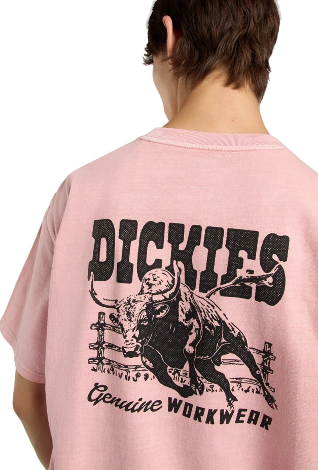 Dickies Buchtell t-shirt, bridal rose Pink, S